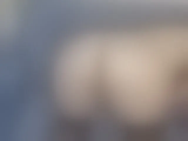 Live sex webcam photo for LinaTomingas #293450908