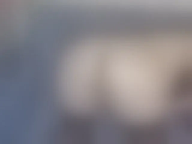 Live sex webcam photo for LinaTomingas #293565059