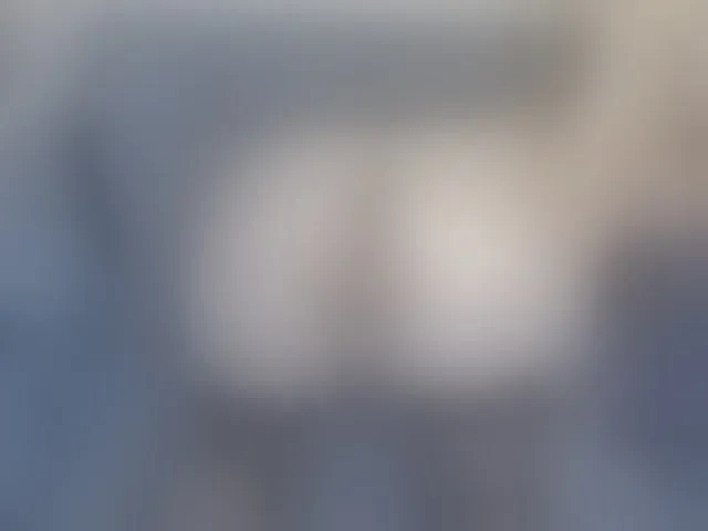 Live sex webcam photo for LinaTomingas #293906588