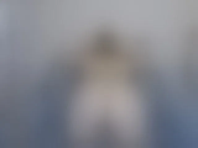 Live sex webcam photo for LinaTomingas #293916714