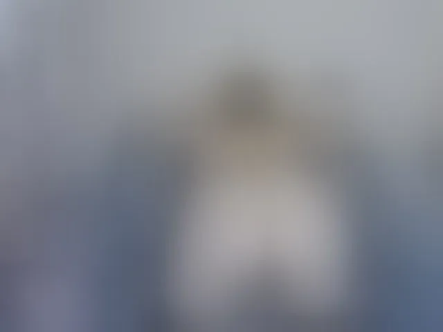 Live sex webcam photo for LinaTomingas #294108241