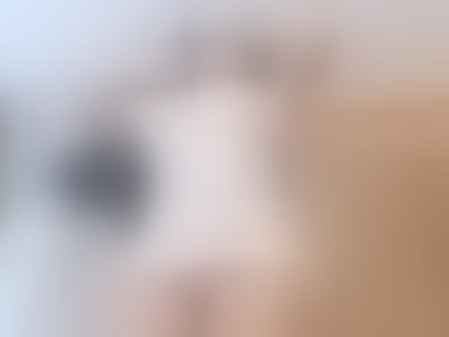 Live sex webcam photo for LindaSelena