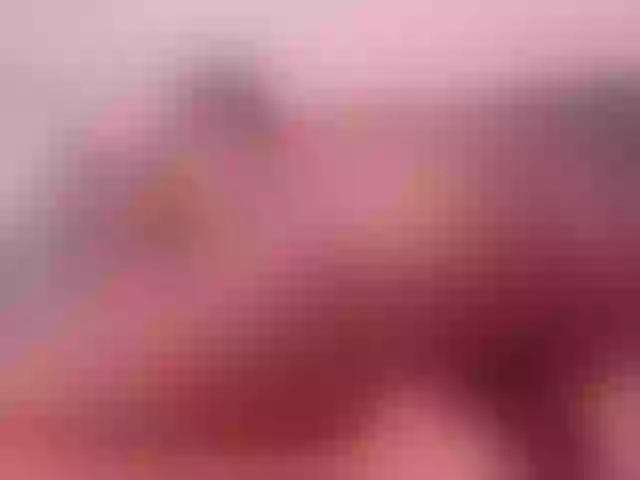 Live sex webcam photo for LinsyAdams #276008784