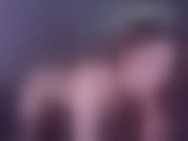 Live sex webcam photo for LipDipTalk #292873838