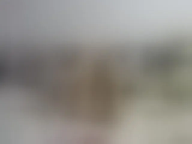 Live sex webcam photo for Lisa1225 #273888533