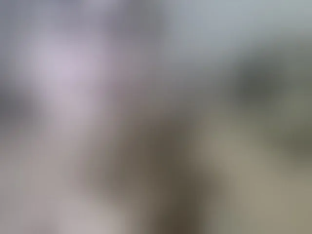 Live sex webcam photo for Lisa1225 #273992714