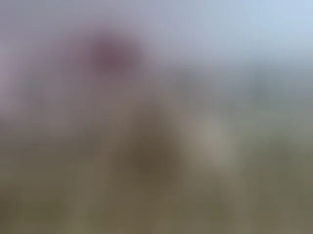 Live sex webcam photo for Lisa1225 #275935005