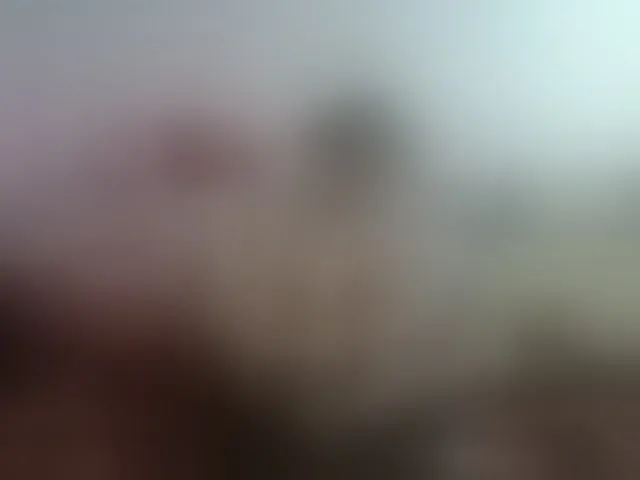 Live sex webcam photo for Lisa1225 #276881481