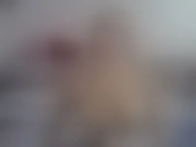 Live sex webcam photo for Lisa1225 #277473637