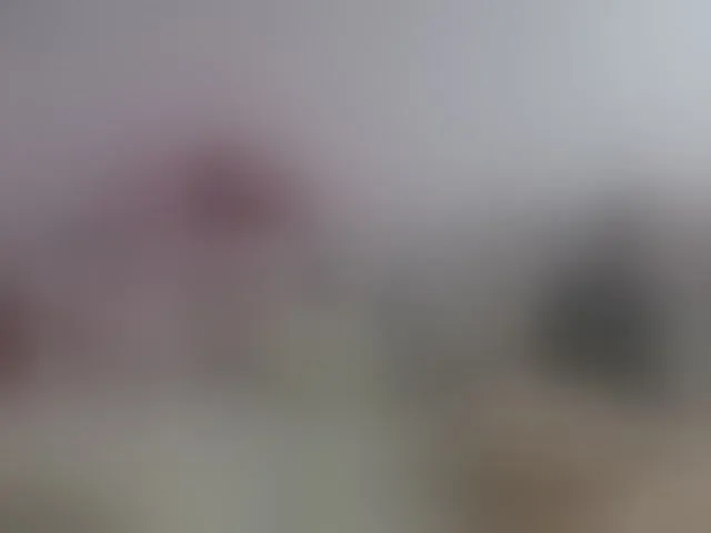 Live sex webcam photo for Lisa1225 #277935434