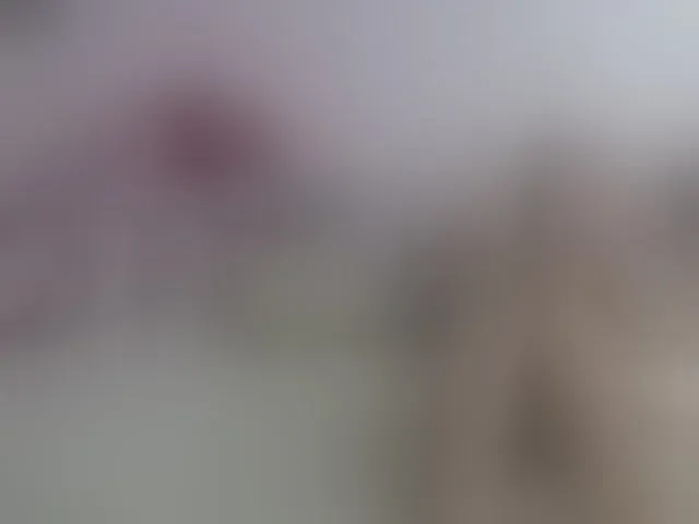 Live sex webcam photo for Lisa1225 #277988020