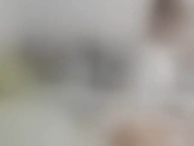 Live sex webcam photo for Lisa1225 #292494778