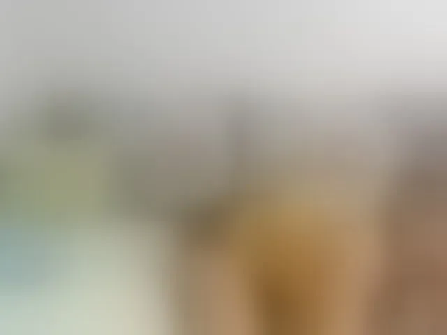 Live sex webcam photo for Lisa1225 #293497056