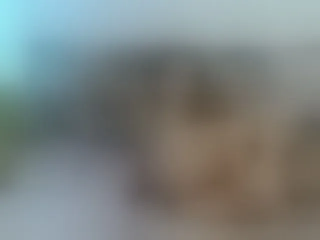 Live sex webcam photo for Lisa1225 #293533826
