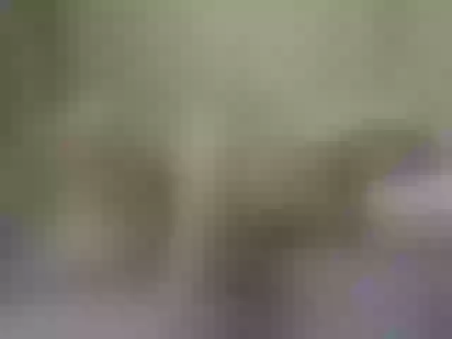 Live sex webcam photo for Lisa666-2 #288336826