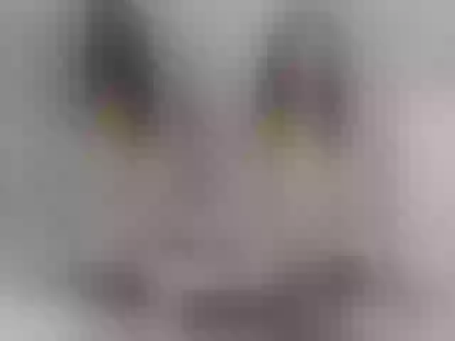 Live sex webcam photo for Lisa666-2 #290356304