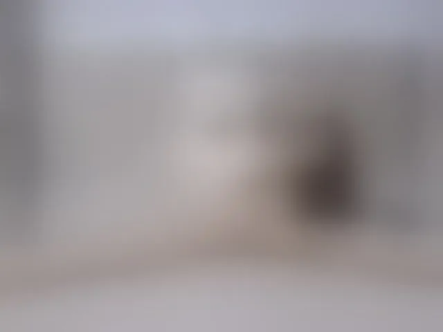 Live sex webcam photo for Lisa666-2 #292435310