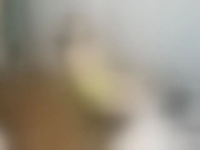 Live sex webcam photo for LisaAnneBlack #277642934