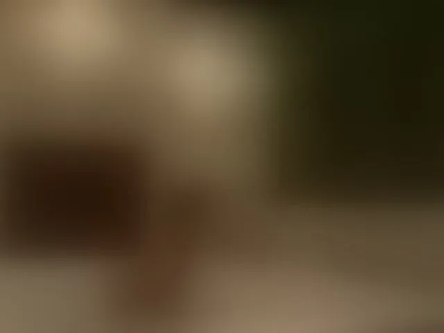 Live sex webcam photo for LisaMonroe #294220412