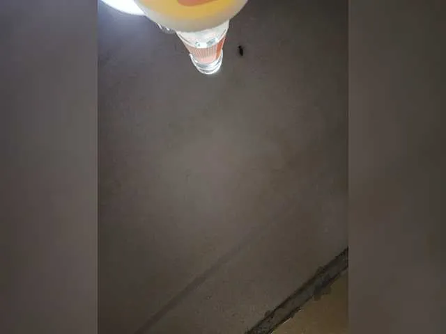 Live sex webcam photo for LisaVsVolk #276734418