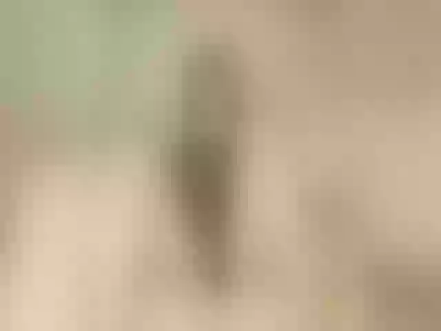 Live sex webcam photo for Lisali #277719336