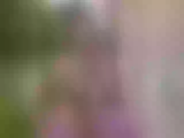 Live sex webcam photo for Lisi4ka-Basik #291473895