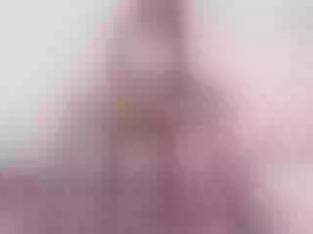 Live sex webcam photo for LissMonroe #278271906