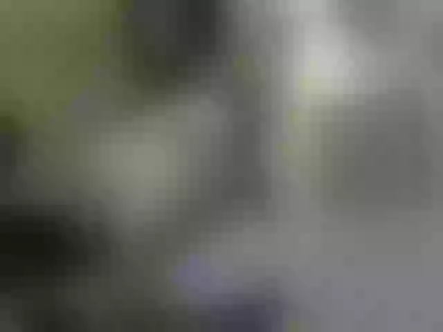 Live sex webcam photo for Lissa-daniels #291863107