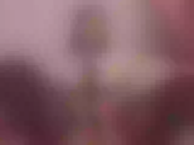 Live sex webcam photo for LissaMorgann #291297933