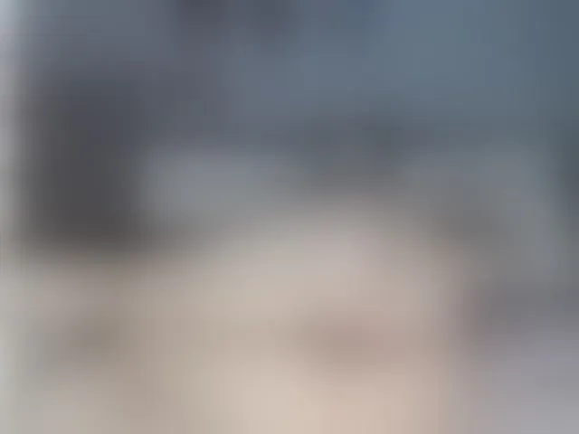 Live sex webcam photo for Lissalittlee