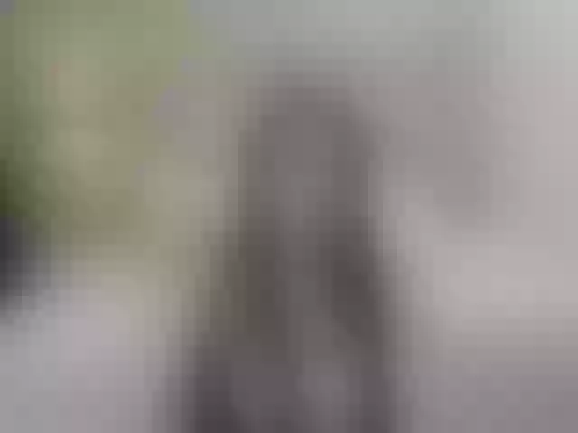 Live sex webcam photo for Little-abby18 #271983254