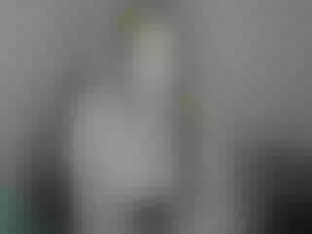 Live sex webcam photo for LittleDelora #274263608
