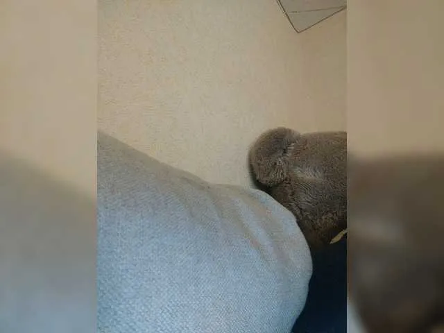 Live sex webcam photo for LittleDelora #274296180