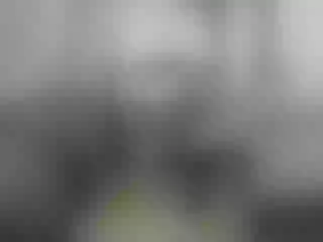 Live sex webcam photo for LittleDelora #288825262
