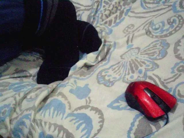 Live sex webcam photo for LittleDiva #274201086