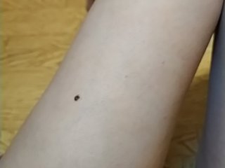 Live sex webcam photo for LittleKitsune #162908859