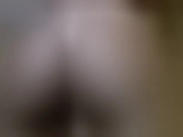 Live sex webcam photo for LittleMisscharming #292507617