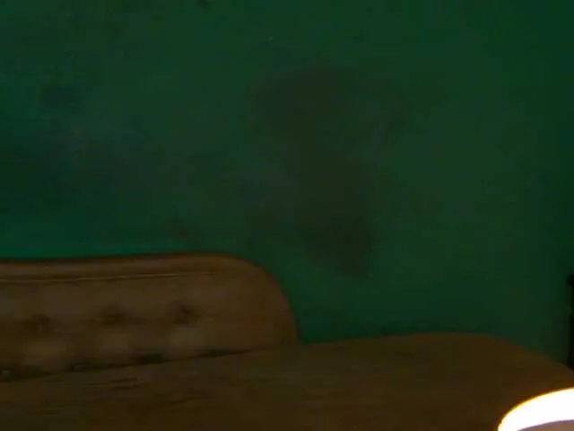 Live sex webcam photo for LittlePoem #291074257