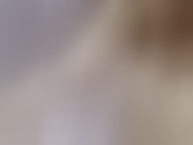 Live sex webcam photo for LittleSammy #294205559