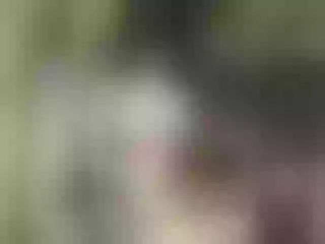 Live sex webcam photo for Littlegirl21 #272243154