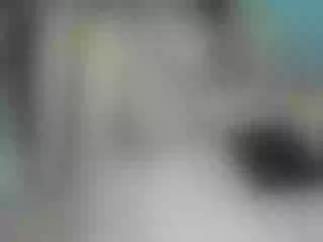 Live sex webcam photo for LizBeth23 #292085208