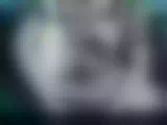 Live sex webcam photo for LizBeth23 #292183086