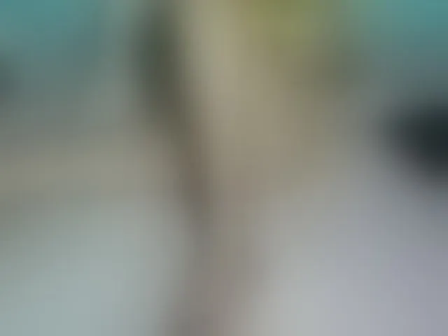 Live sex webcam photo for LizBeth23 #293427843