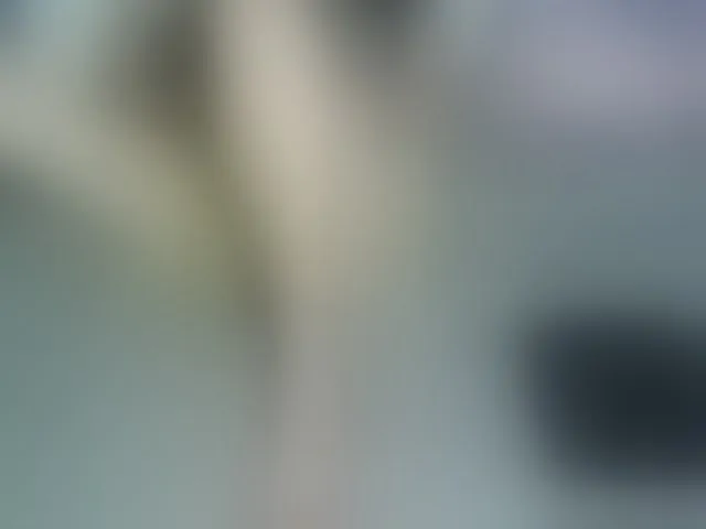 Live sex webcam photo for LizBeth23 #293725822