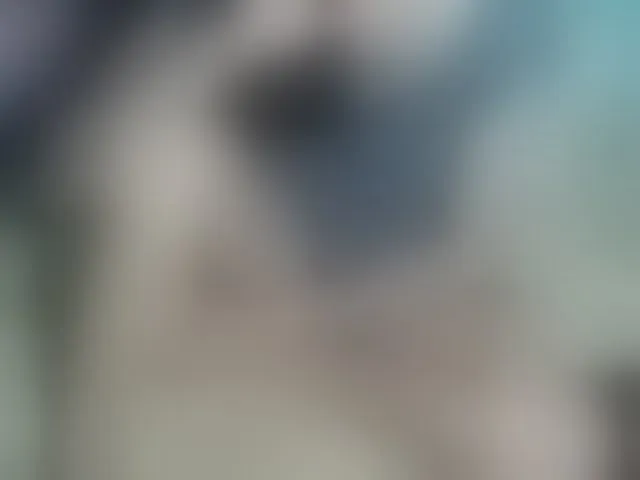 Live sex webcam photo for LizBeth23 #293781695