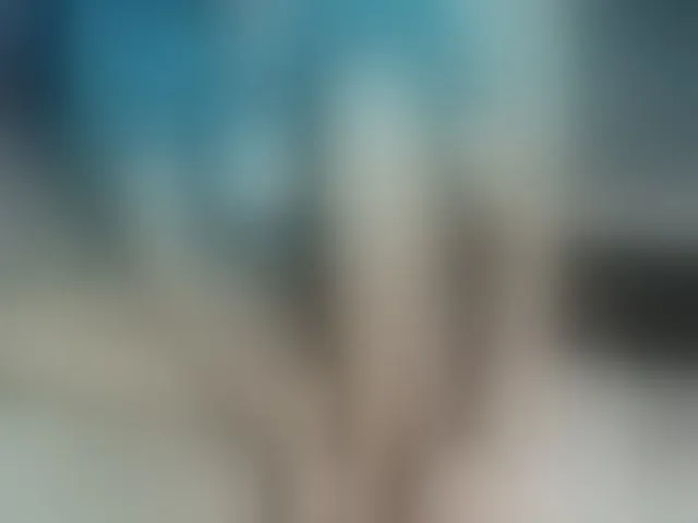 Live sex webcam photo for LizBeth23 #293929091