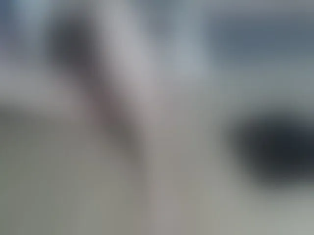 Live sex webcam photo for LizBeth23 #293957986