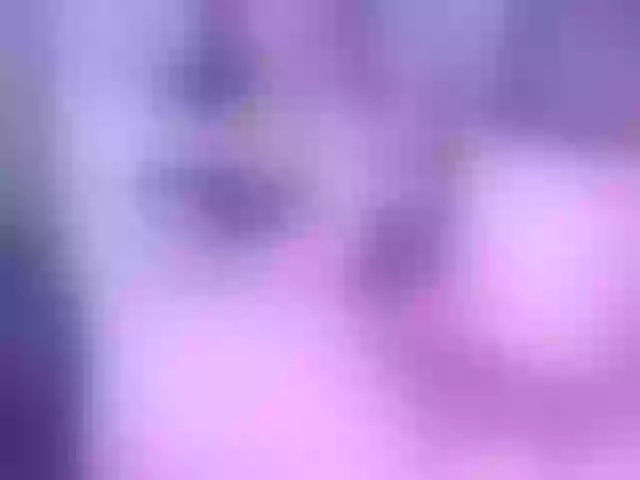 Live sex webcam photo for LizSheibaum #291929700