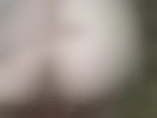 Live sex webcam photo for LizaFox-AlanF #226762785