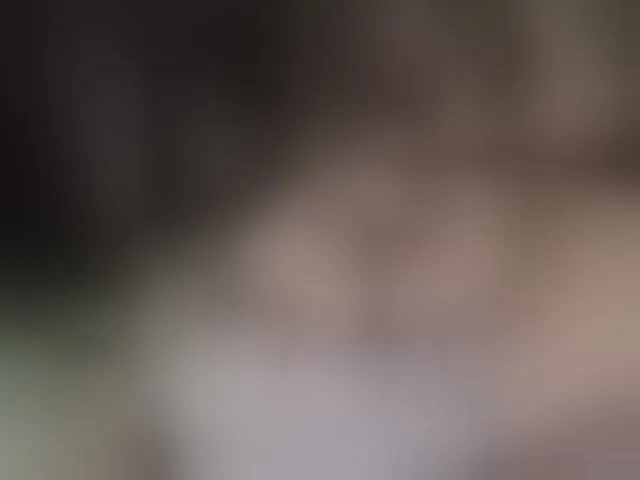 Live sex webcam photo for LizaLuxer #292844487